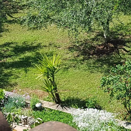Siesta بوريتش