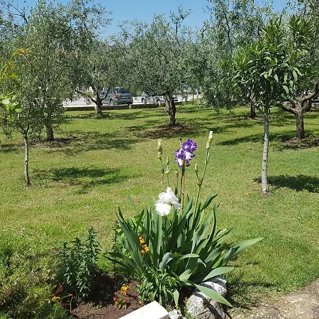 Siesta Maison d'hôtes