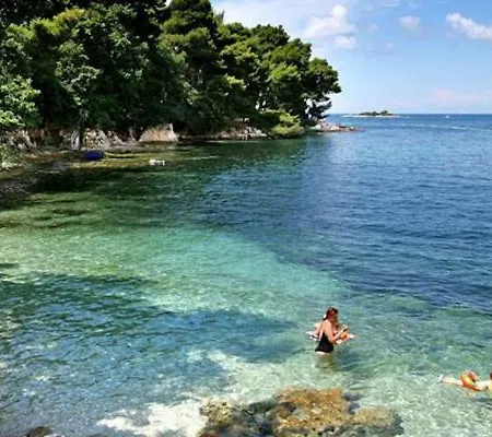 Maison d'hôtes Siesta