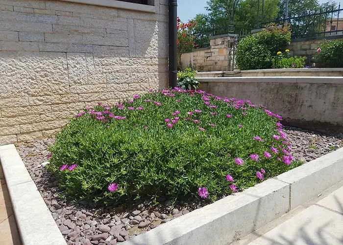 Siesta 게스트하우스 포레치