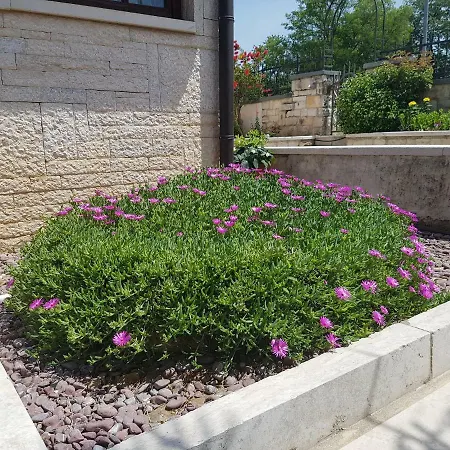 Siesta Gæstehus Poreč