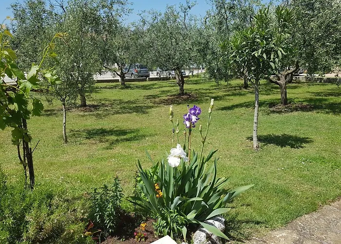 Siesta בית הארחה